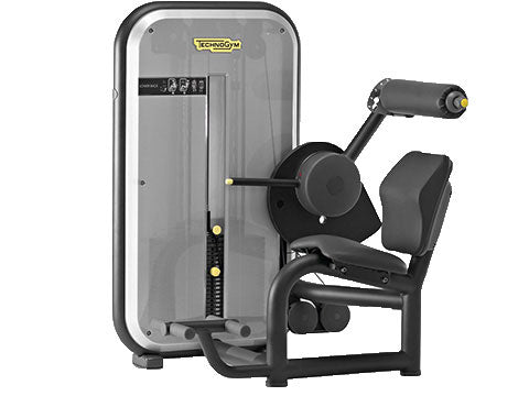 Best Used Technogym Element Lower Back Cheap